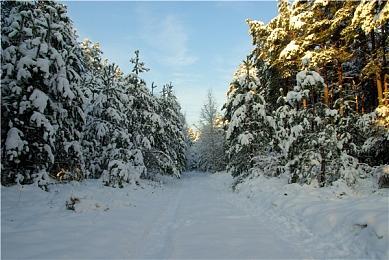 《三位一体融合》将于12＆15脱离EA推出正式版